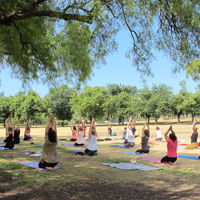 Free Yoga in the Park