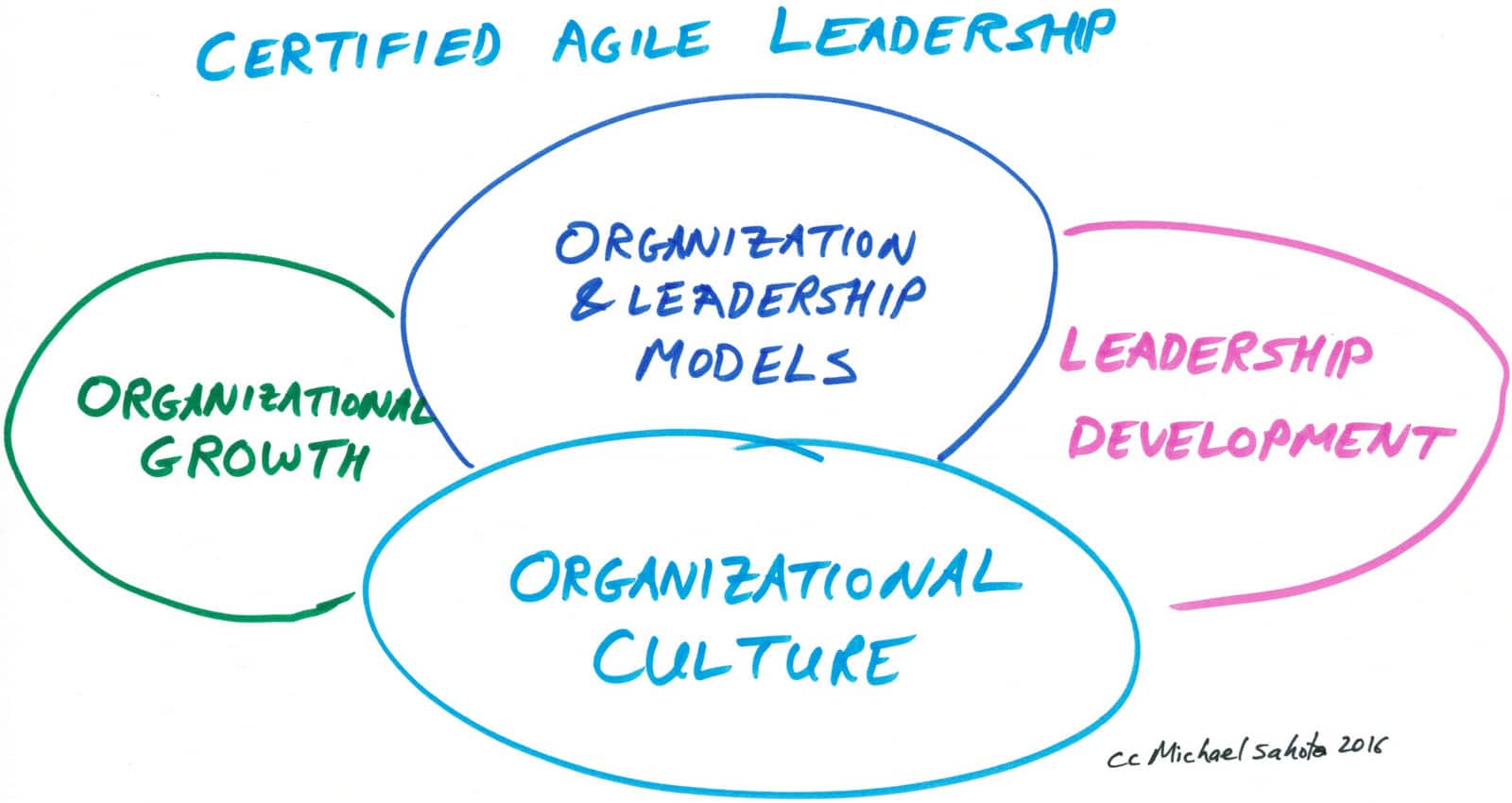 certified agile leadership training