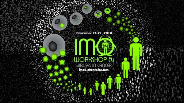 IMO Workshop Flyer